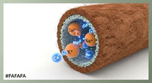3D diagram showing CEC displacement logic used by the Coco Coir Buffering Calculator.