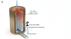 Cross-section soil column diagram showing FAO-29 soil leaching requirement calculator formula flow bifurcation
