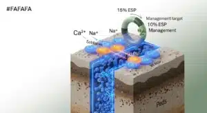 3D diagram showing Calcium displacing Sodium on clay platelets to reach a 10% ESP.