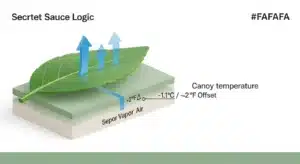3D diagram showing the VPD Calculator formula and the leaf-to-air temperature offset mechanism.