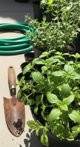 pizza-herb-garden-featured.jpg