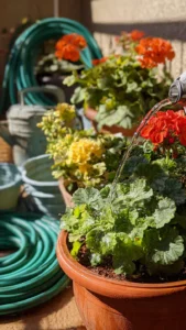 apartment-flowers-featured.jpg