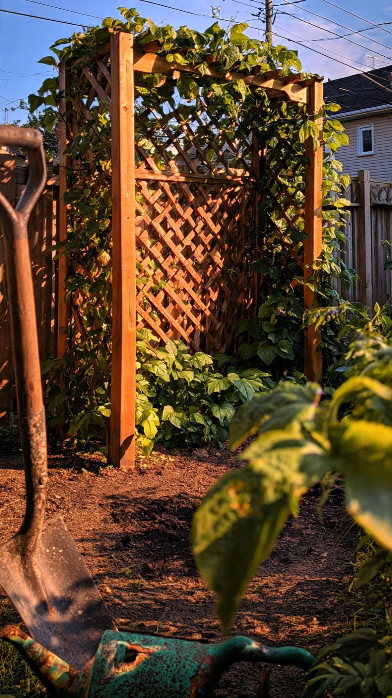 arbor-ideas-trellis-backed-shade-arbor