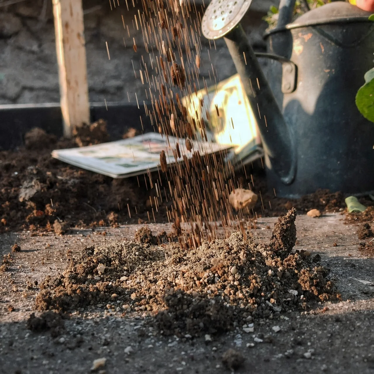 best-soil-for-container-gardening-worm-castings-enhanced-mix