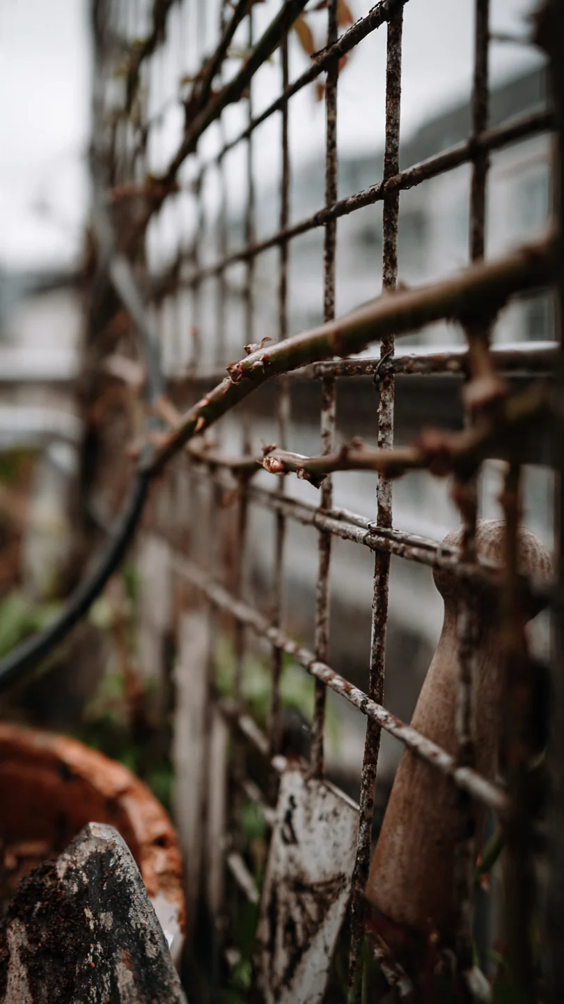 Climbing Rose Trellis: Decision Grid for Matching Mechanics to Urban Small Spaces - Visual Guide Part 2