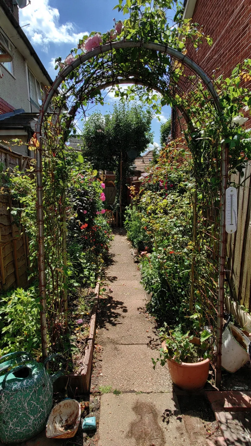 Climbing Rose Trellis: Decision Grid for Matching Mechanics to Urban Small Spaces - Visual Guide Part 4