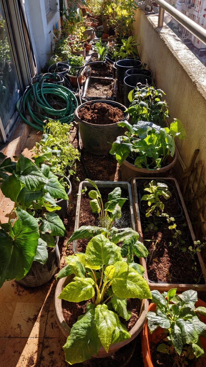 Container Gardening Tools: The Decision Grid for Matching Gear to Your Container Count and Space Constraints - Visual Guide Part 1