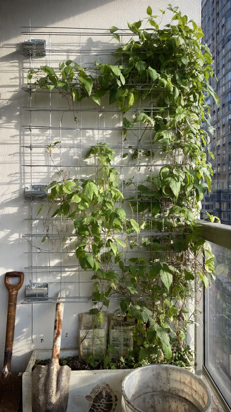 Container Trellis Ideas: Match Support Mechanics to Pot Size and Crop Load for Stable Vertical Growth - Visual Guide Part 7