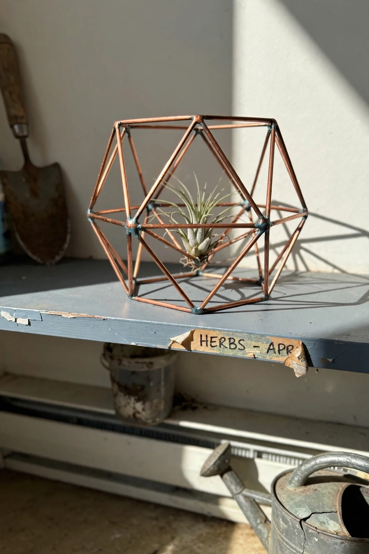 air-plant-holders-diy-copper-frame.jpg