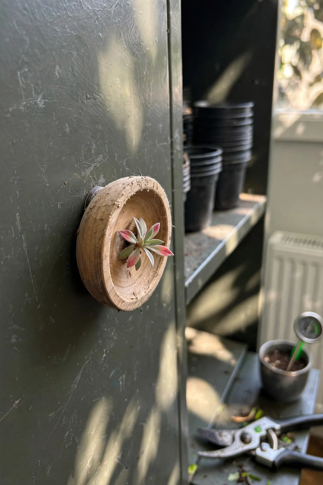 air-plant-holders-diy-magnetic-wall-pods.jpg