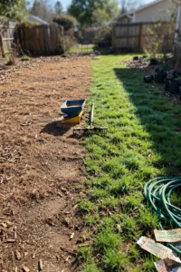 best-grass-seed-for-overseeding-featured.jpg