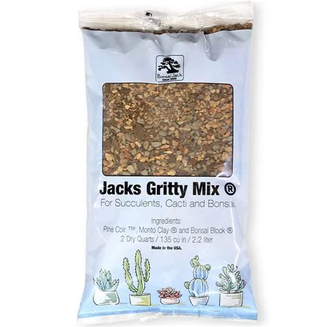 best-soil-for-succulents-indoors-bonsai-jack-gritty-mix.jpg