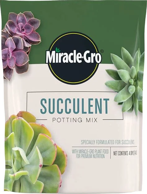 best-soil-for-succulents-indoors-miracle-gro-succulent-mix.jpg