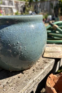 ceramic-planter-drainage-featured.jpg