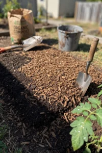 compost-vs-mulch-featured.jpg