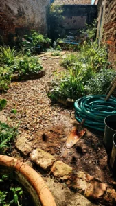 courtyard-garden-ideas-featured.jpg