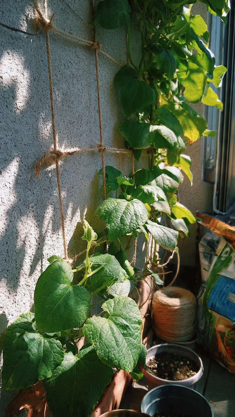 cucumber-trellis-ideas-wall-mounted-twine-ladder.jpg