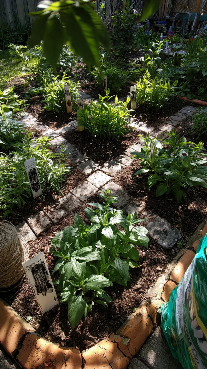 cut-flower-garden-layout-grid-block-planting.jpg
