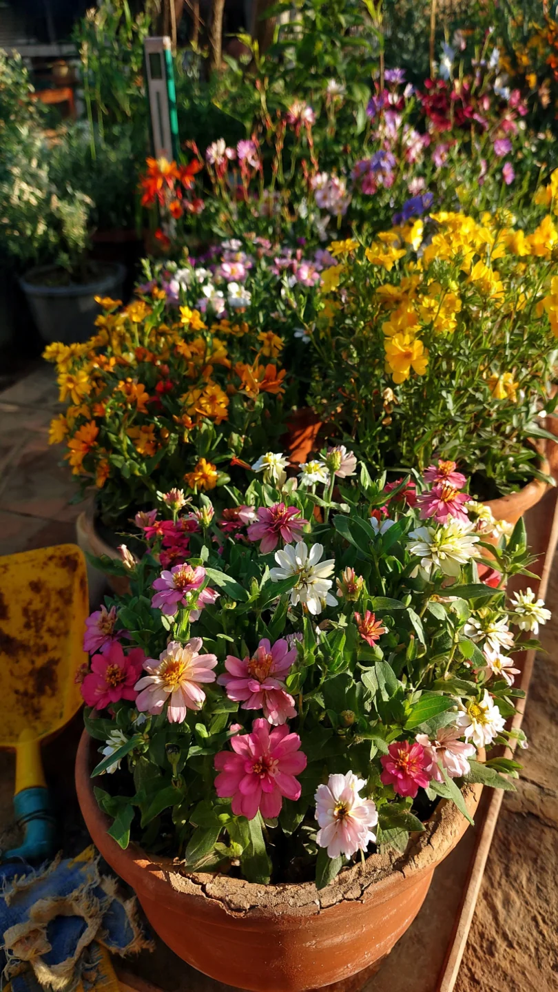 cut-flower-garden-layout-modular-container-clusters.jpg